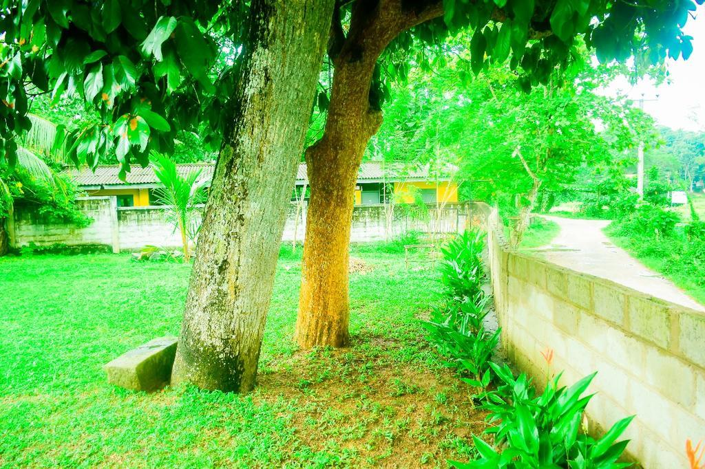 Villa Cinnamon Hills Galle Exteriér fotografie