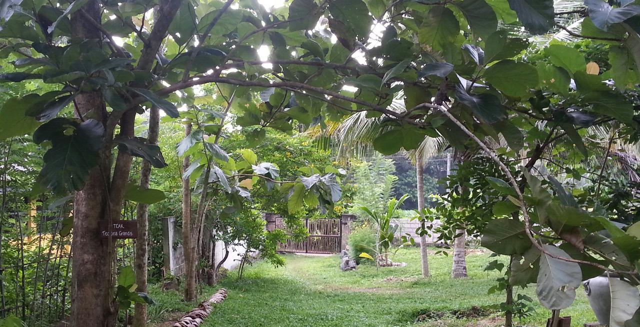 Villa Cinnamon Hills Galle Exteriér fotografie